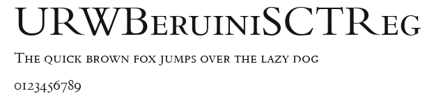 URWBeruiniSCTReg Preview