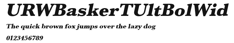 URWBaskerTUltBolWid Preview