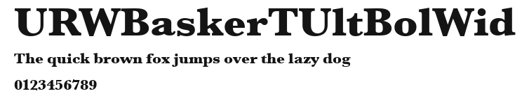 URWBaskerTUltBolWid Preview