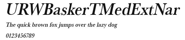 URWBaskerTMedExtNar Preview
