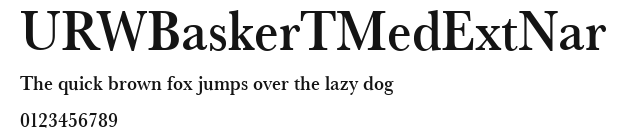 URWBaskerTMedExtNar Preview