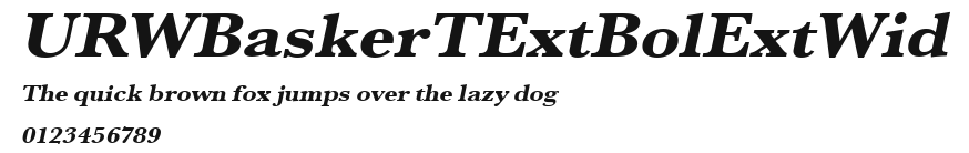 URWBaskerTExtBolExtWid Preview