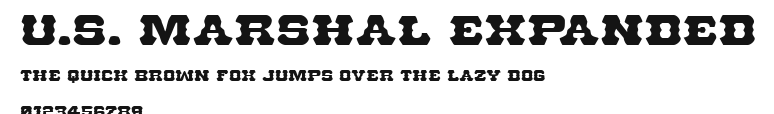 U.S. Marshal Expanded Preview