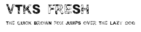 vtks fresh Preview