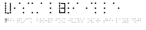 VisualBraille Preview