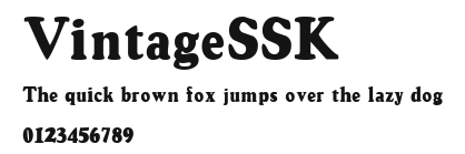 VintageSSK Preview
