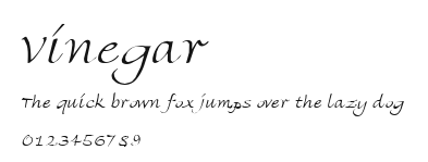 Vinegar Preview