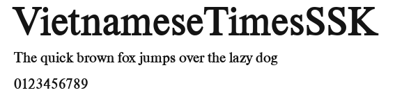 VietnameseTimesSSK Preview