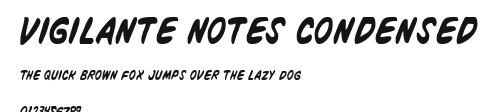 Vigilante Notes Condensed Preview