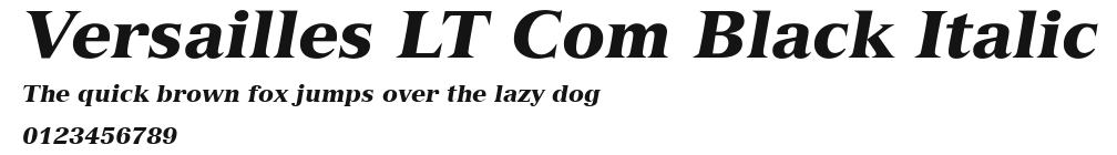 Versailles LT Com Black Italic Preview