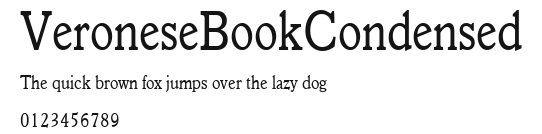 VeroneseBookCondensed Preview