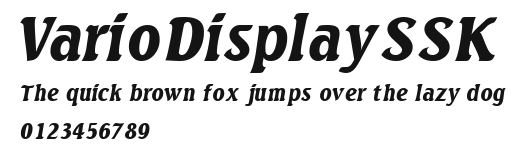 VarioDisplaySSK Preview