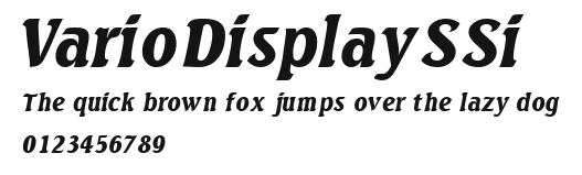 VarioDisplaySSi Preview