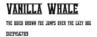 Vanilla Whale Preview