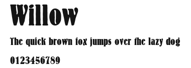Willow Preview